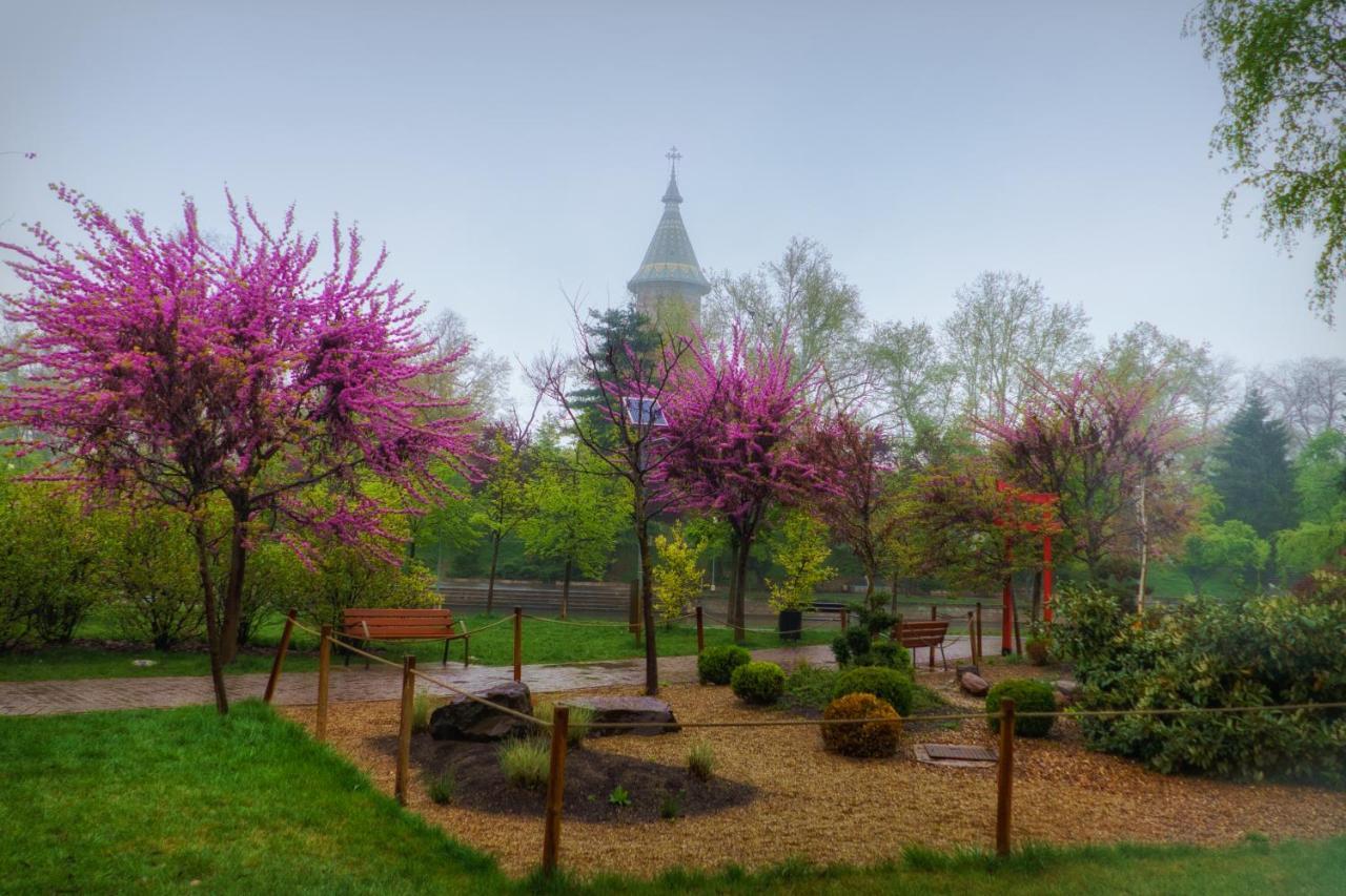 Take Pro Timisoara Apartment Exterior foto